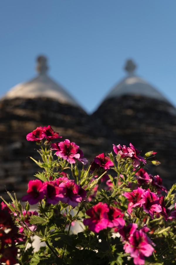 فيلا Trulli Ulivi بوتينيانو المظهر الخارجي الصورة