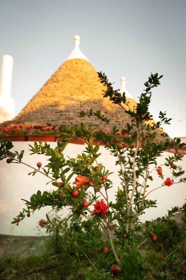 فيلا Trulli Ulivi بوتينيانو المظهر الخارجي الصورة